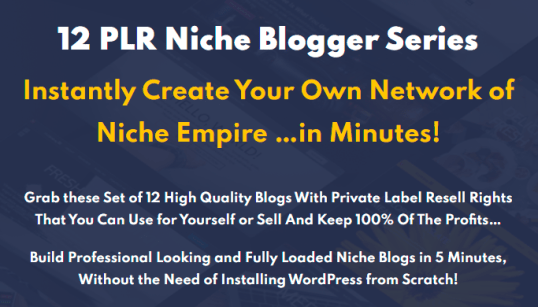 [GET] 12 PLR Niche Blogs Bundle Free Download