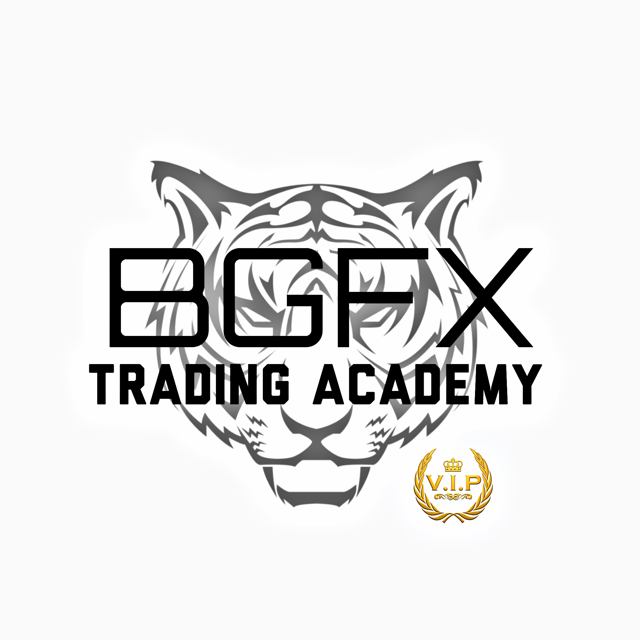 [GET] BGFX Trading Academy Free Download