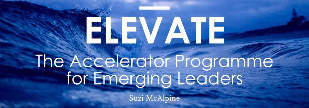 [GET] Suzi McAlpine – Elevate – The Accelerator Program For Emerging Leaders Free Download