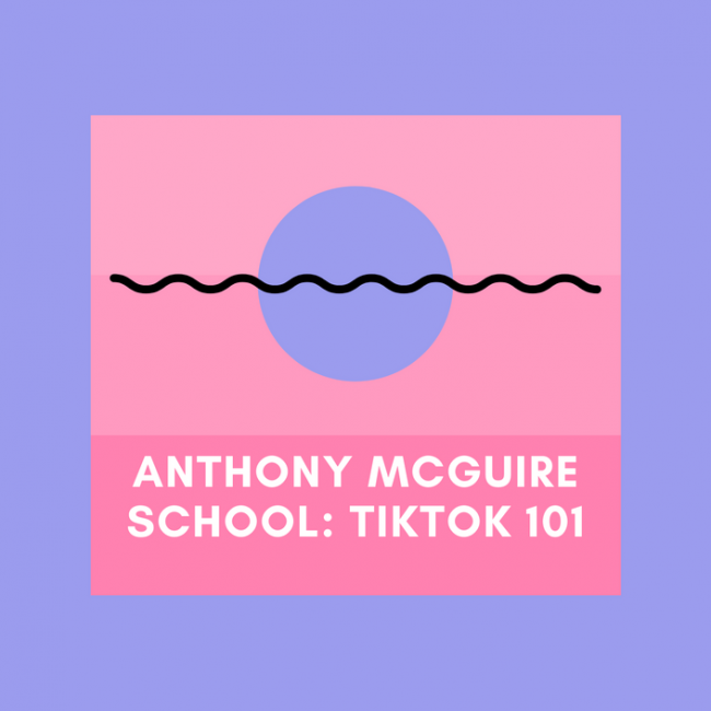 Anthony McGuire – TikTok Marketing &amp; Advertising 101 Download